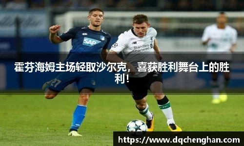 霍芬海姆主场轻取沙尔克，喜获胜利舞台上的胜利！