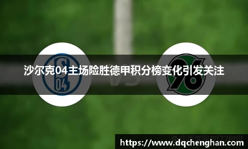 沙尔克04主场险胜德甲积分榜变化引发关注