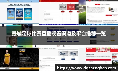 景城足球比赛直播观看渠道及平台推荐一览