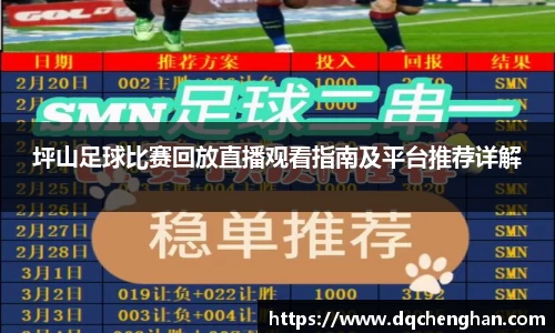 坪山足球比赛回放直播观看指南及平台推荐详解