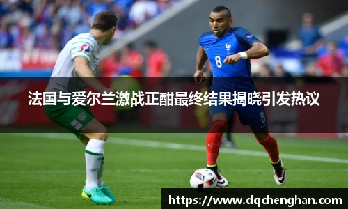 法国与爱尔兰激战正酣最终结果揭晓引发热议